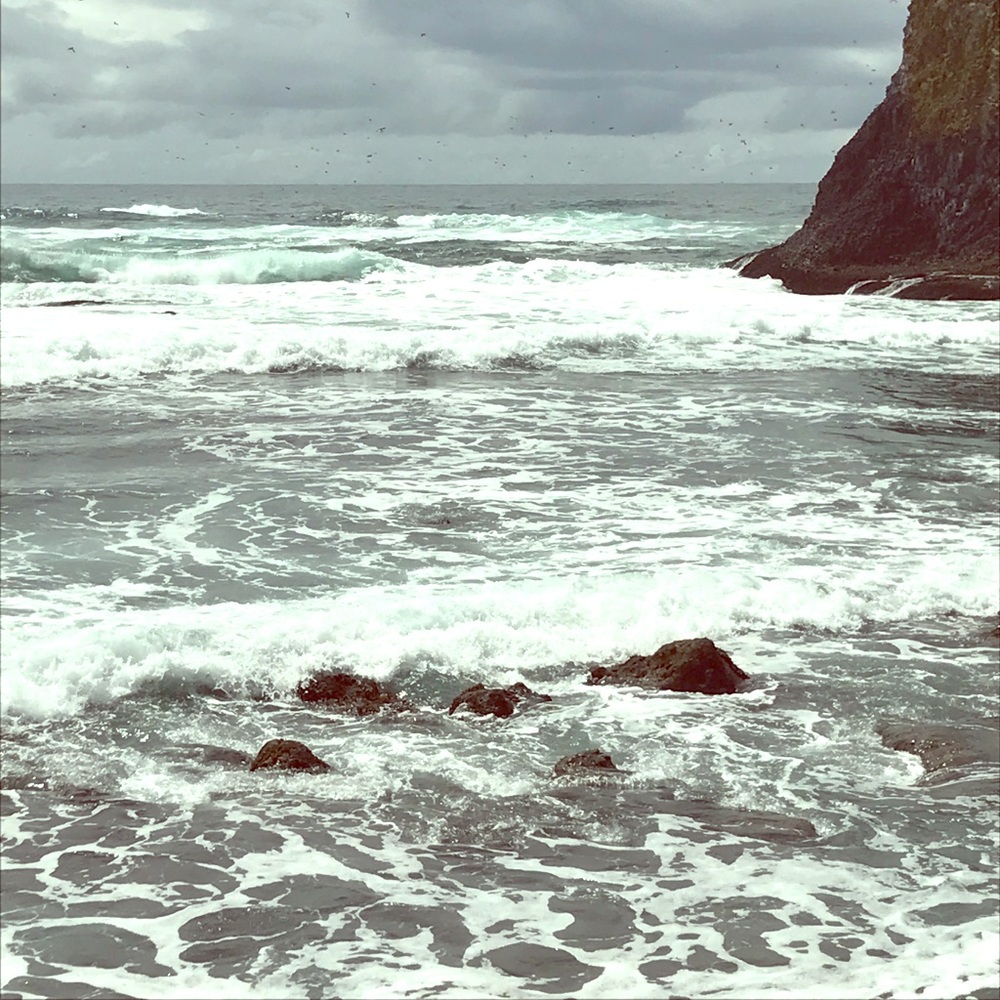 Meet your Posher, Erin